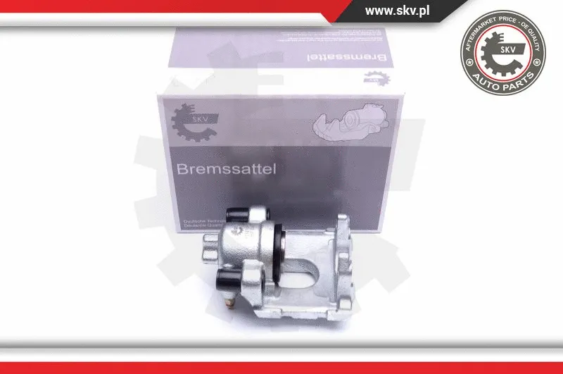 Brake Caliper (42SKV994)