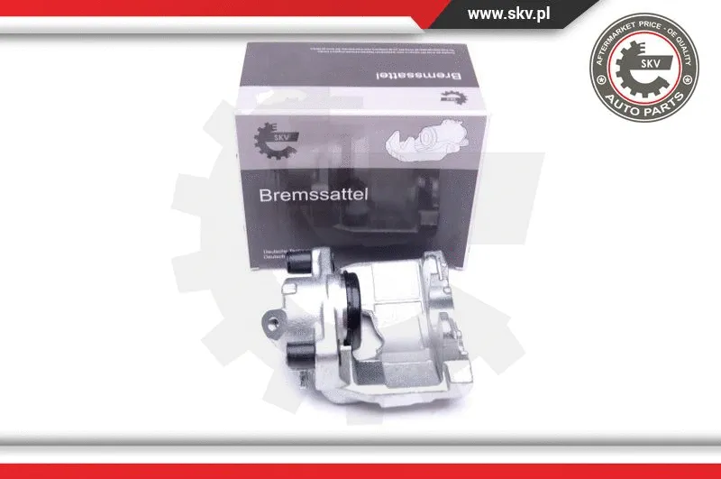 Brake Caliper (42SKV511)