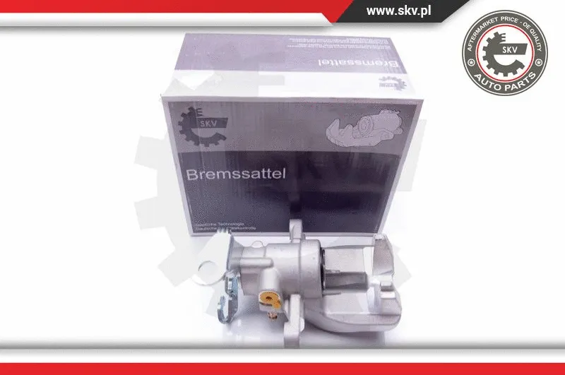 Brake Caliper (42SKV534)