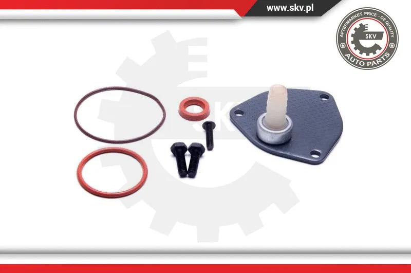 Repair Set, vacuum pump (braking system)