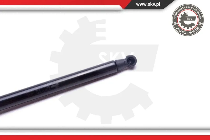 Gas Spring, boot/cargo area