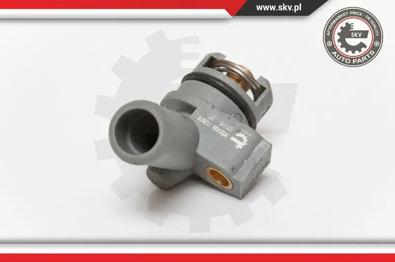 Thermostat, coolant