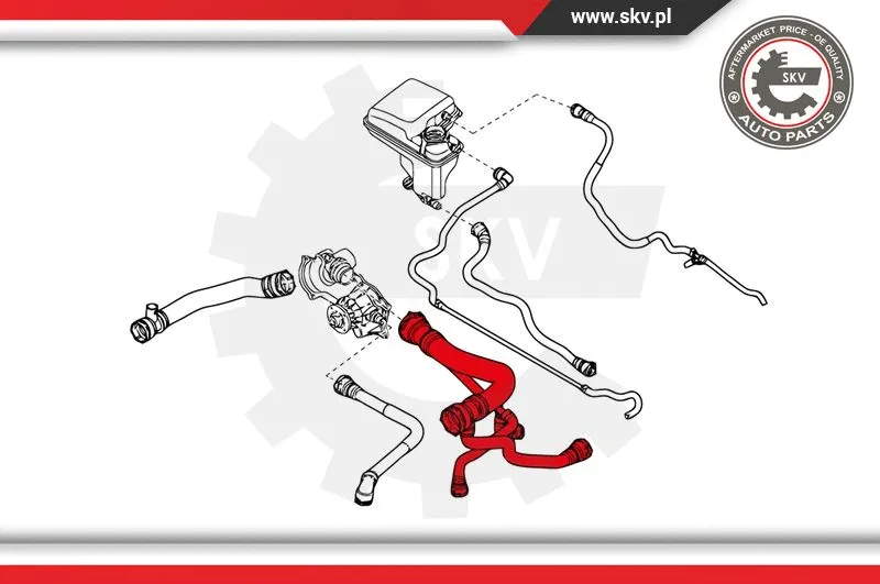 Radiator Hose
