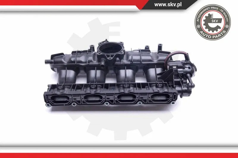 Intake Manifold Module