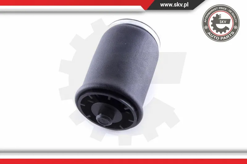 Air Spring, suspension