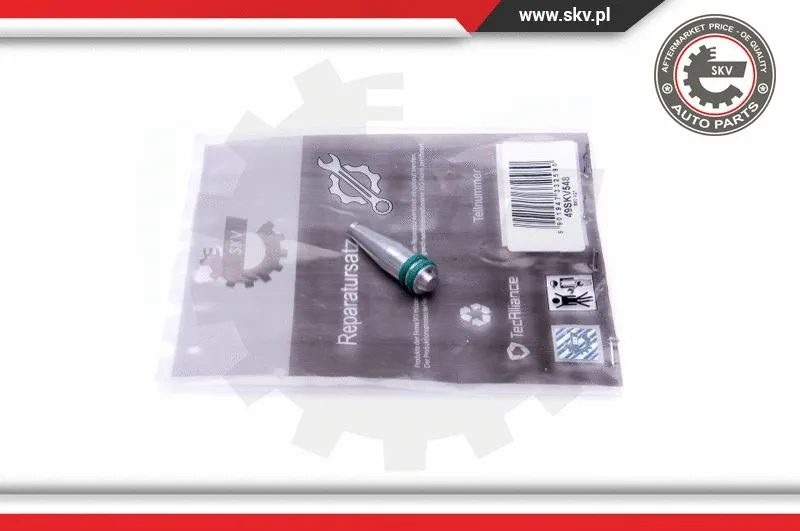 Repair Kit, intake manifold module (49SKV548)