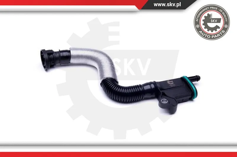 Hose, crankcase ventilation