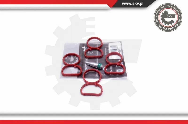 Repair Kit, intake manifold module (49SKV513)