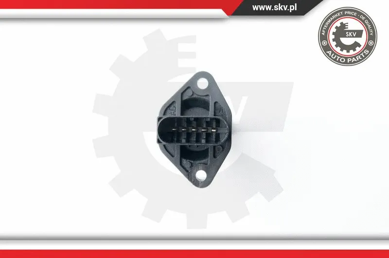 Mass Air Flow Sensor