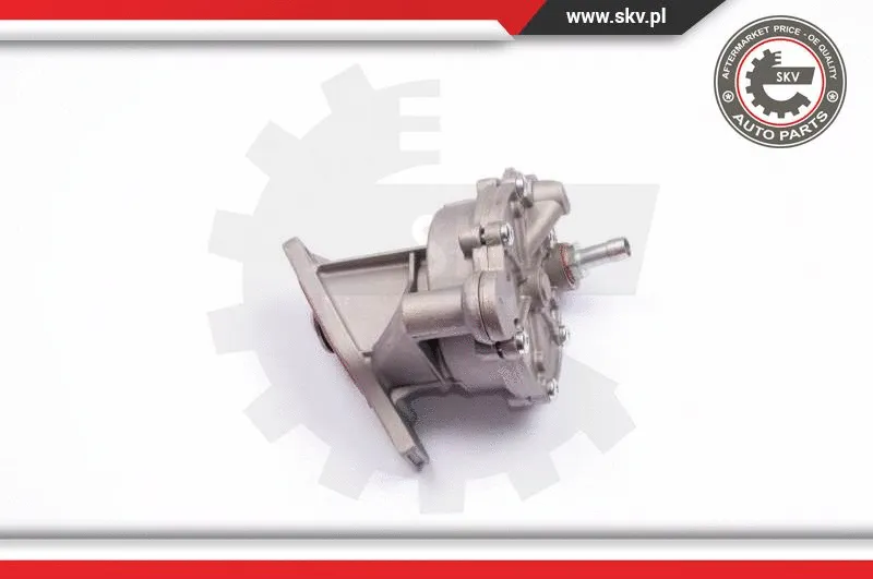 Vacuum Pump, braking system (18SKV013)