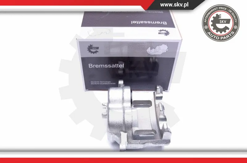 Brake Caliper (44SKV911)