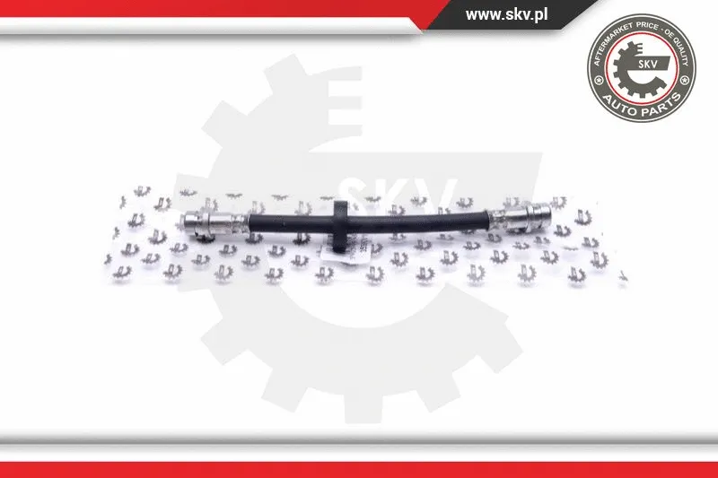 Brake Hose (35SKV145)
