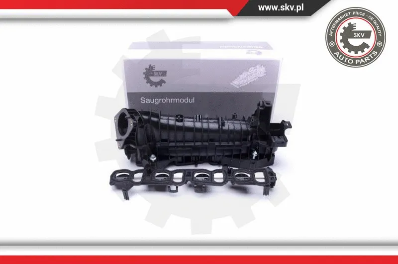 Intake Manifold Module (49SKV037)