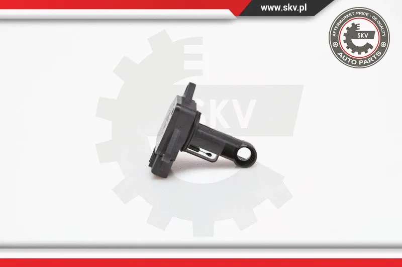Mass Air Flow Sensor