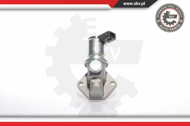 Idle Control Valve, air supply (08SKV224)