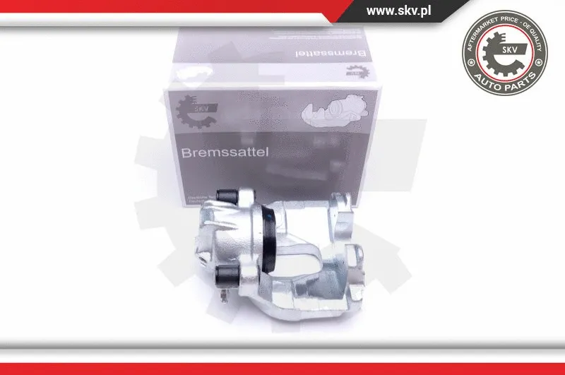 Brake Caliper (44SKV081)