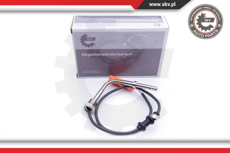 Sensor, exhaust gas temperature (30SKV148)