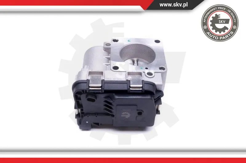 Throttle Body