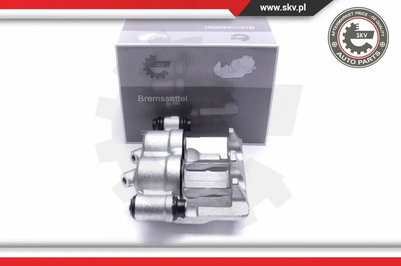 Brake Caliper (55SKV151)