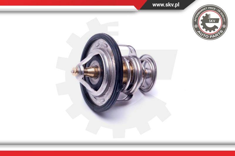 Thermostat, coolant