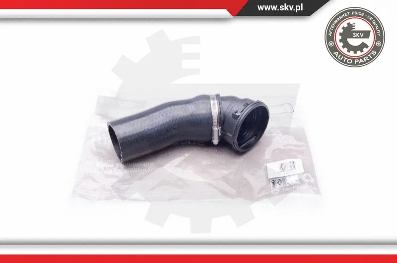 Charge Air Hose (24SKV721)