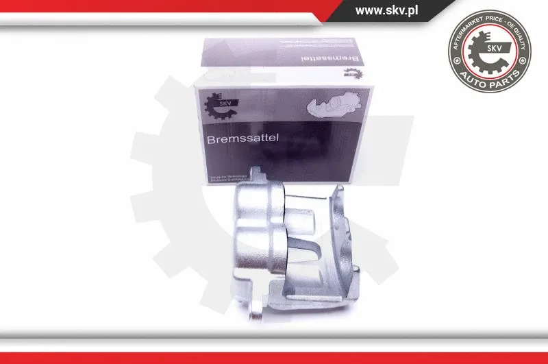 Brake Caliper (44SKV092)