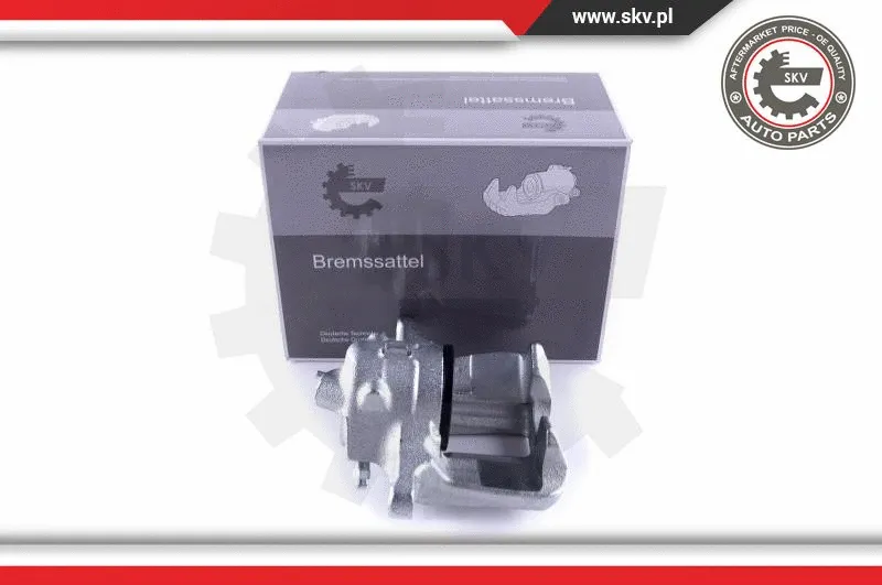 Brake Caliper (55SKV391)