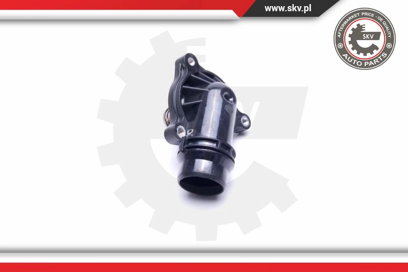 Thermostat, coolant