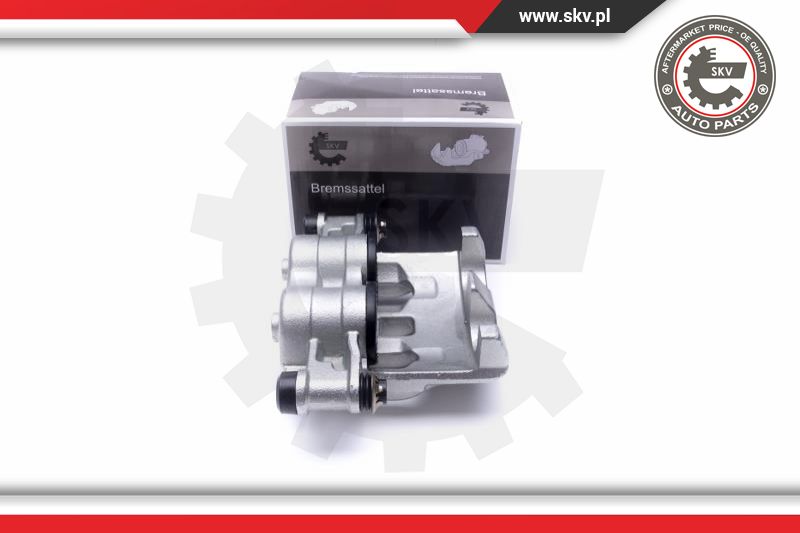 Brake Caliper (45SKV223)