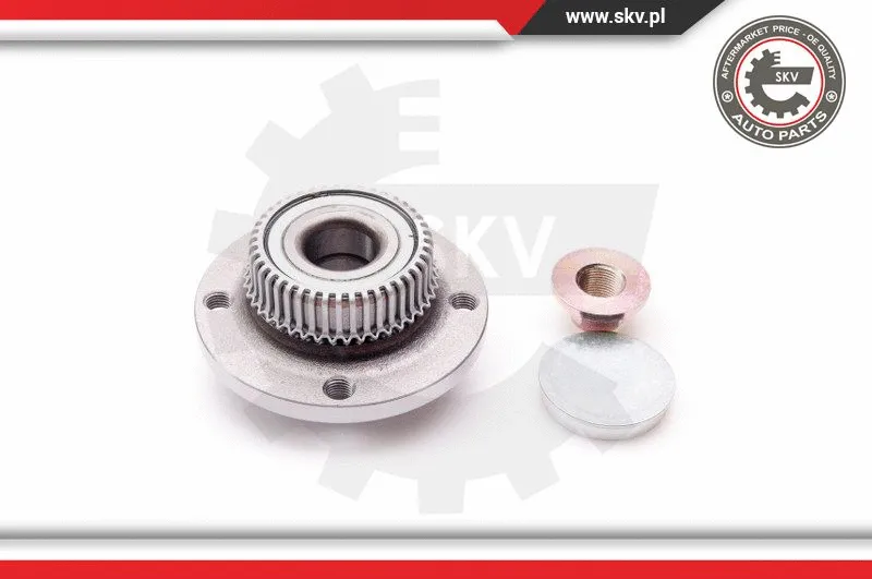 Wheel Bearing Kit (29SKV012)