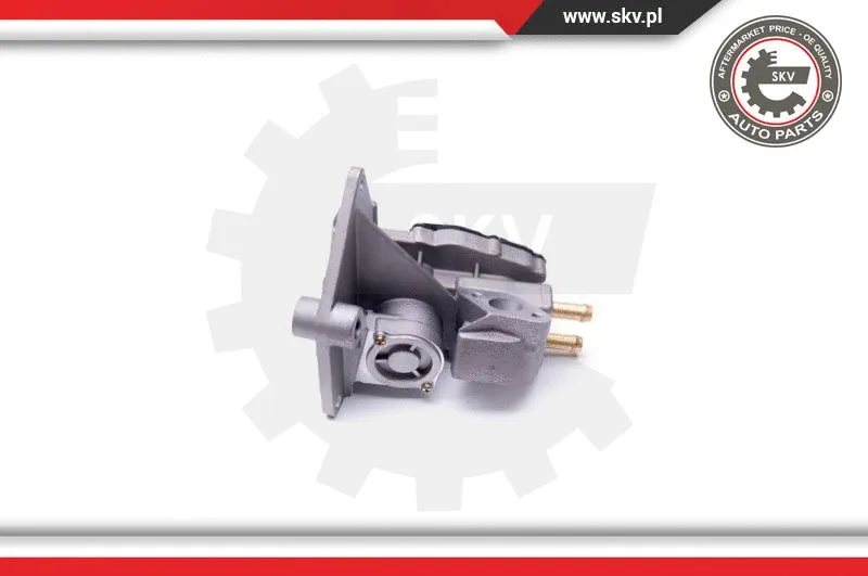 EGR Valve
