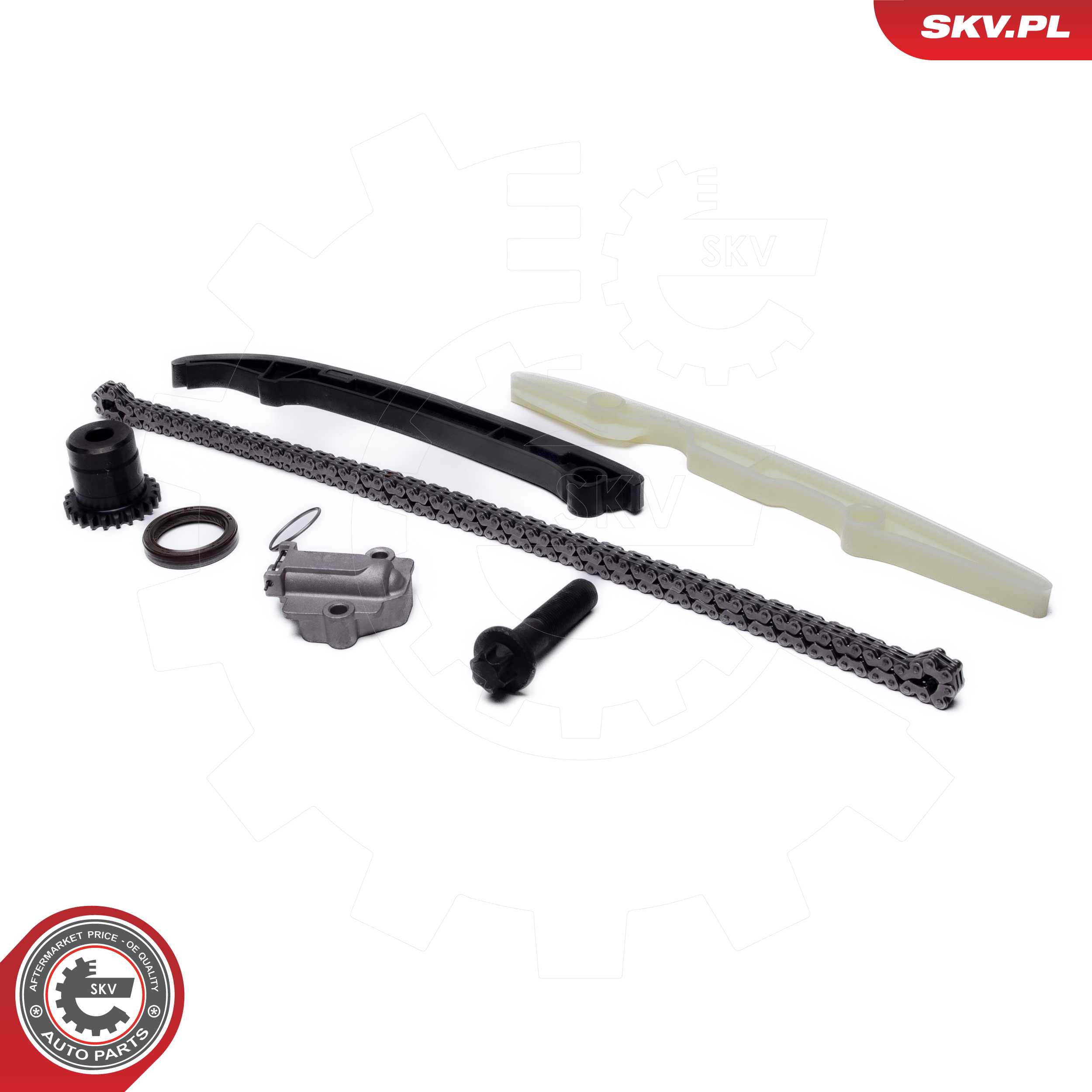 Timing Chain Kit