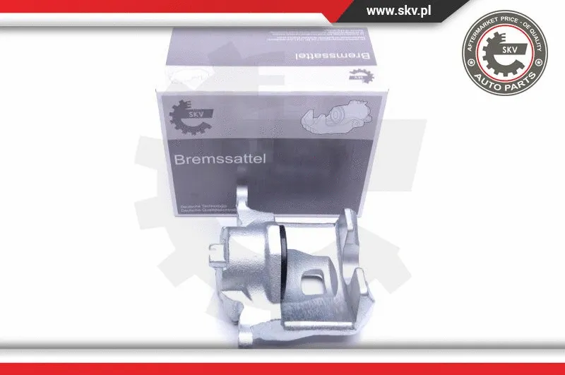 Brake Caliper (45SKV391)