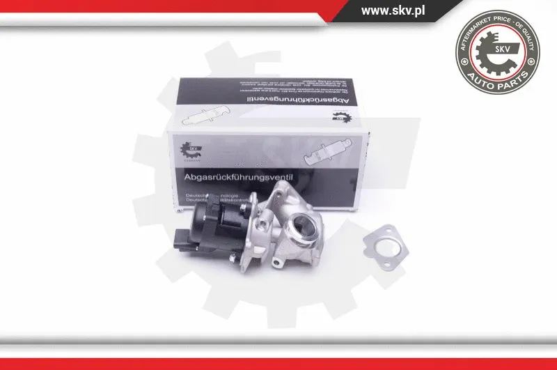 EGR Valve (14SKV202)