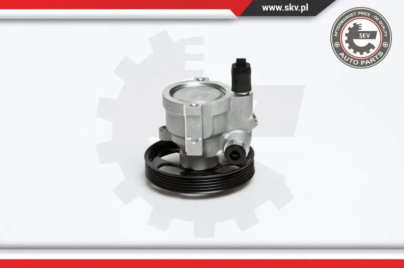 Hydraulic Pump, steering (10SKV151)