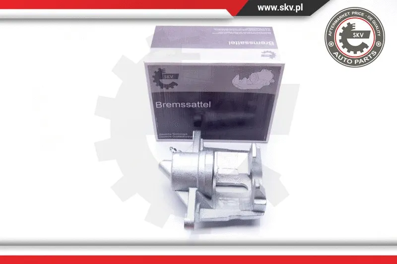 Brake Caliper (23SKV192)