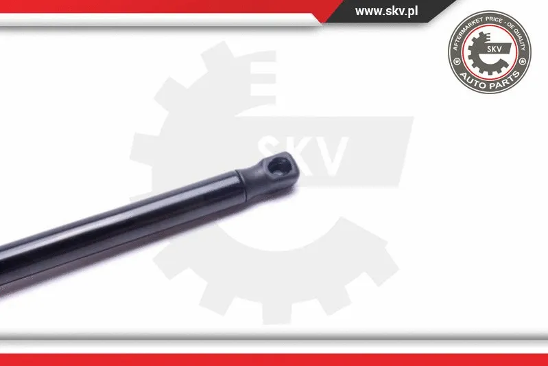 Gas Spring, boot/cargo area