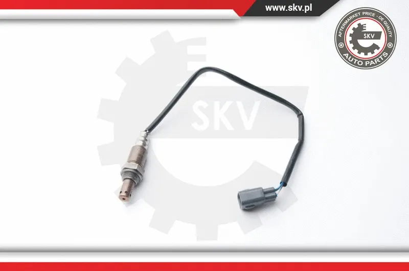 Lambda Sensor (09SKV111)