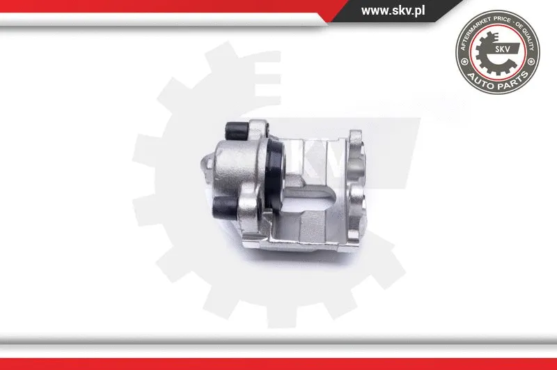 Brake Caliper (42SKV321)
