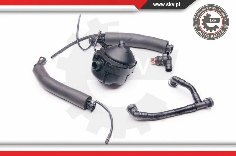 Repair Kit, crankcase ventilation (31SKV044)