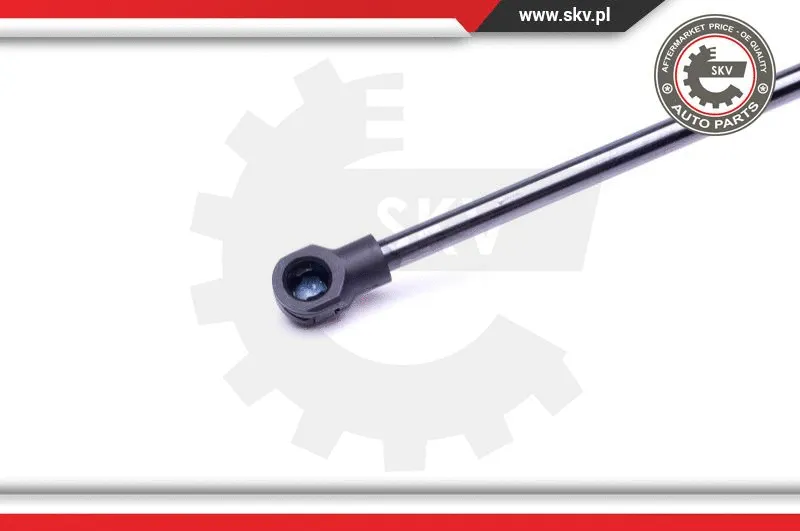 Gas Spring, boot/cargo area