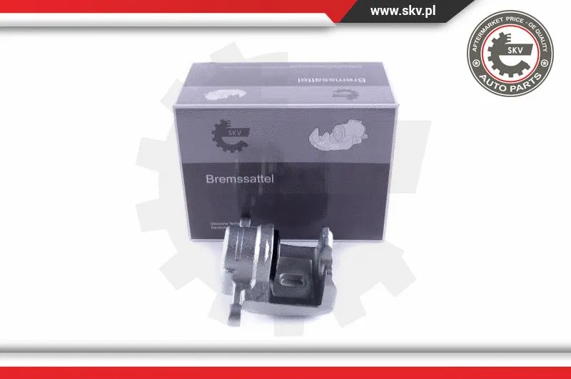 Brake Caliper (55SKV373)