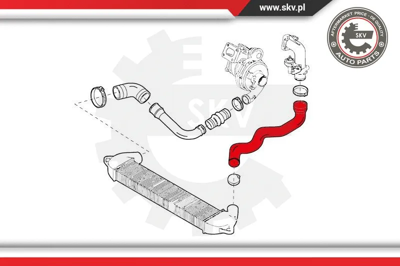 Charge Air Hose