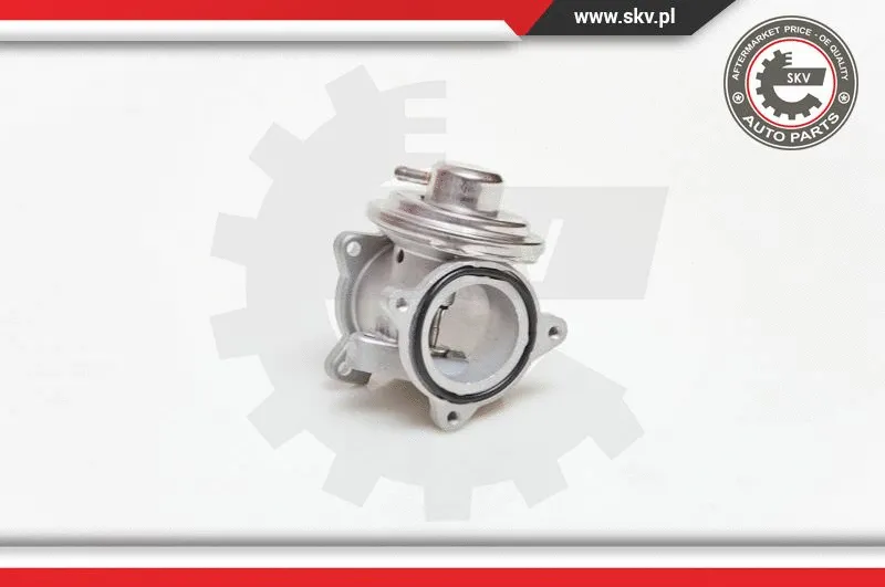EGR Valve
