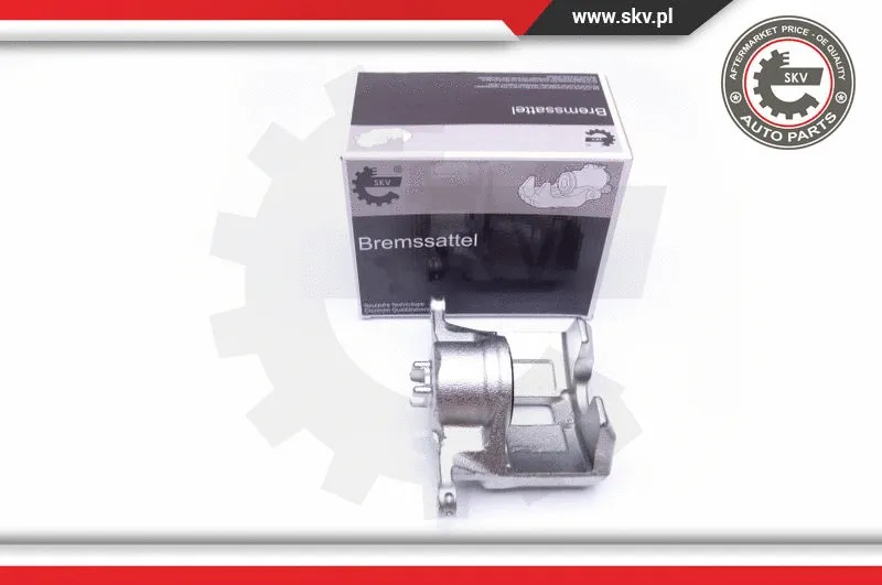 Brake Caliper (42SKV242)