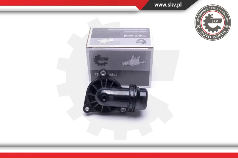 Thermostat, coolant (20SKV141)