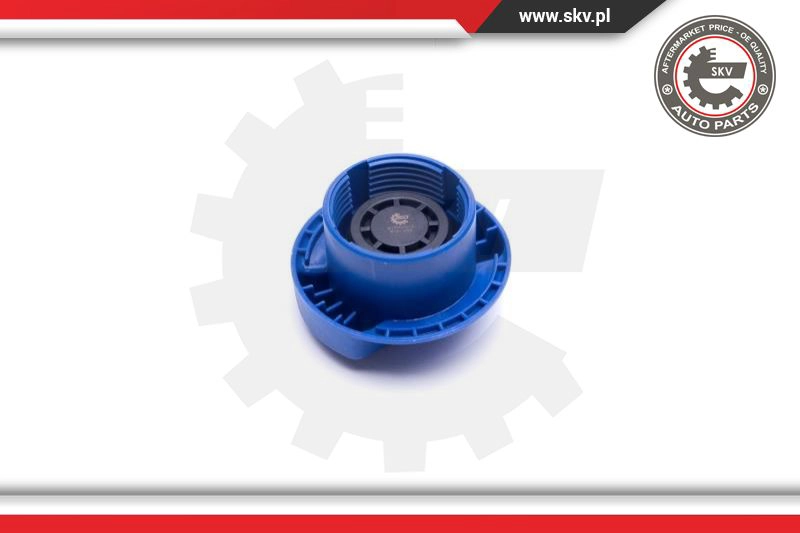 Cap, coolant tank