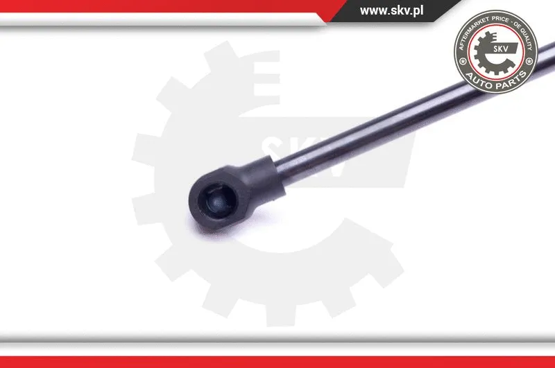 Gas Spring, boot/cargo area