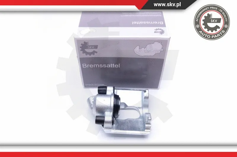 Brake Caliper (42SKV192)