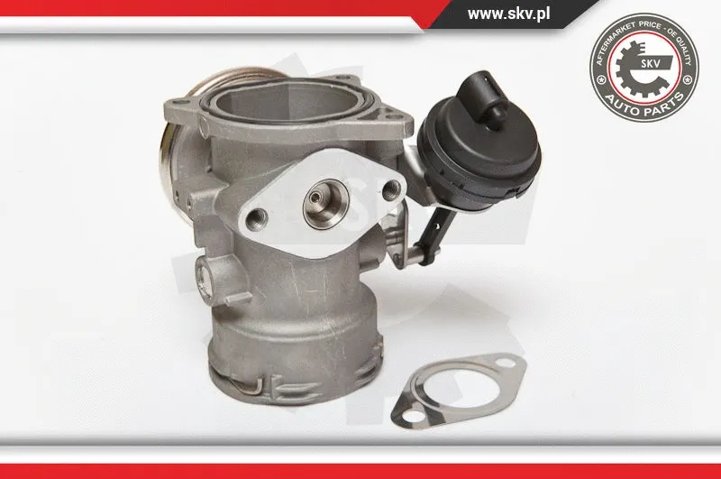 EGR Valve